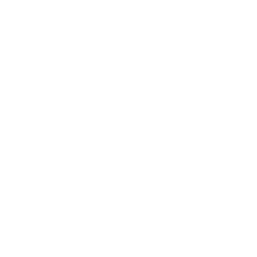 Icon Plan